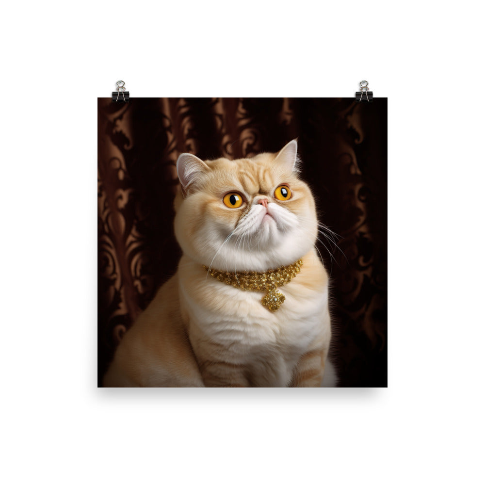 Elegance of Exotic Shorthair Adults Photo paper poster - PosterfyAI.com