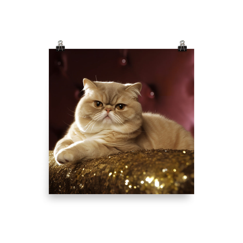 Elegance of Exotic Shorthair Adults Photo paper poster - PosterfyAI.com