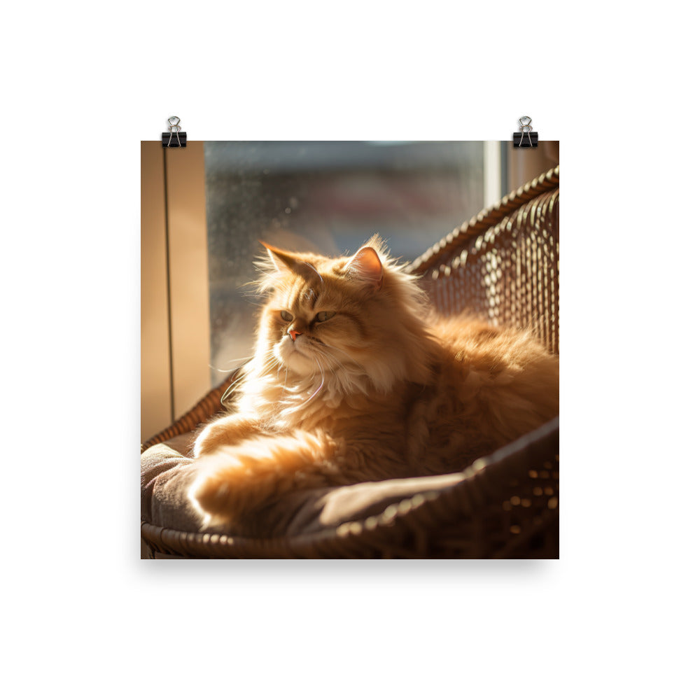 Persian Cat Relaxation Photo paper poster - PosterfyAI.com