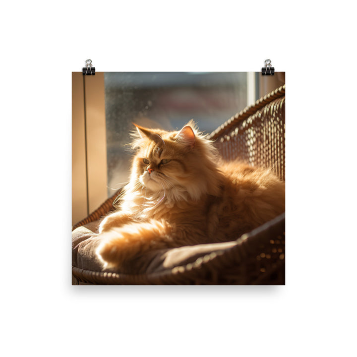 Persian Cat Relaxation Photo paper poster - PosterfyAI.com