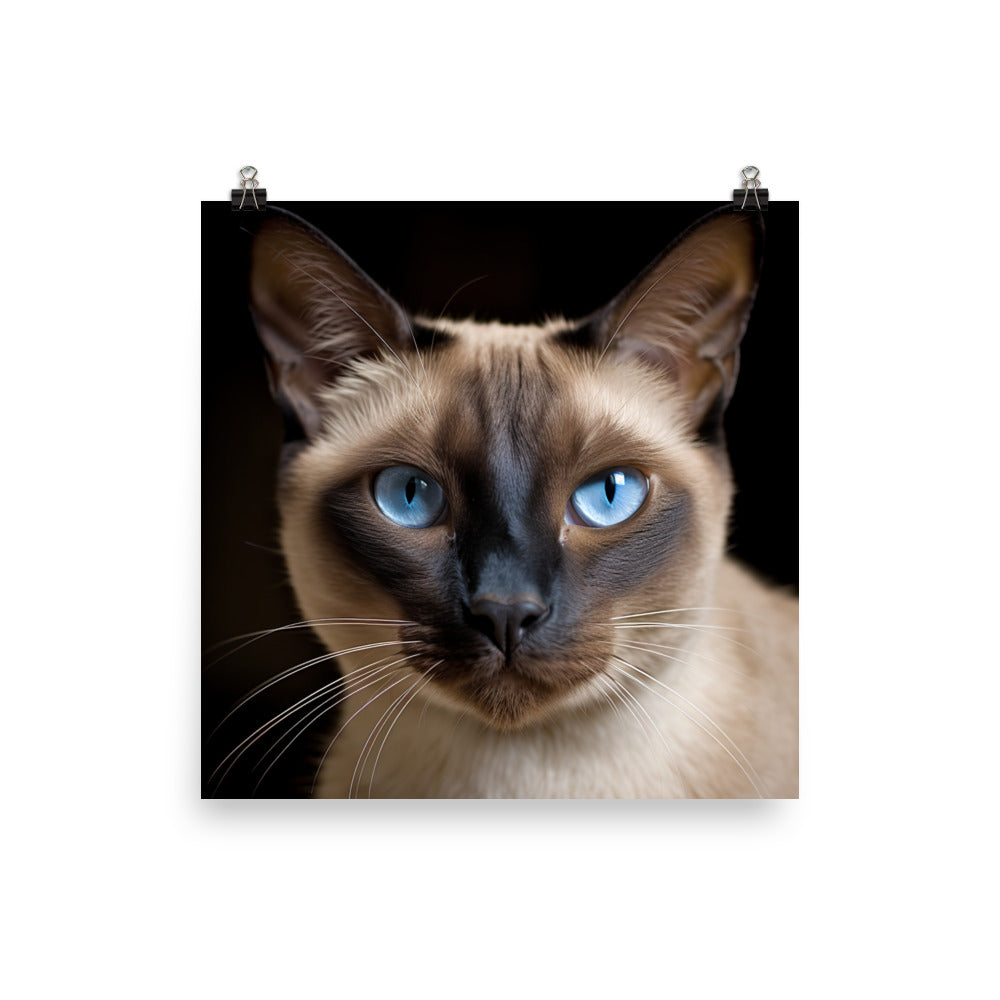 Majestic Siamese Beauty Photo paper poster - PosterfyAI.com