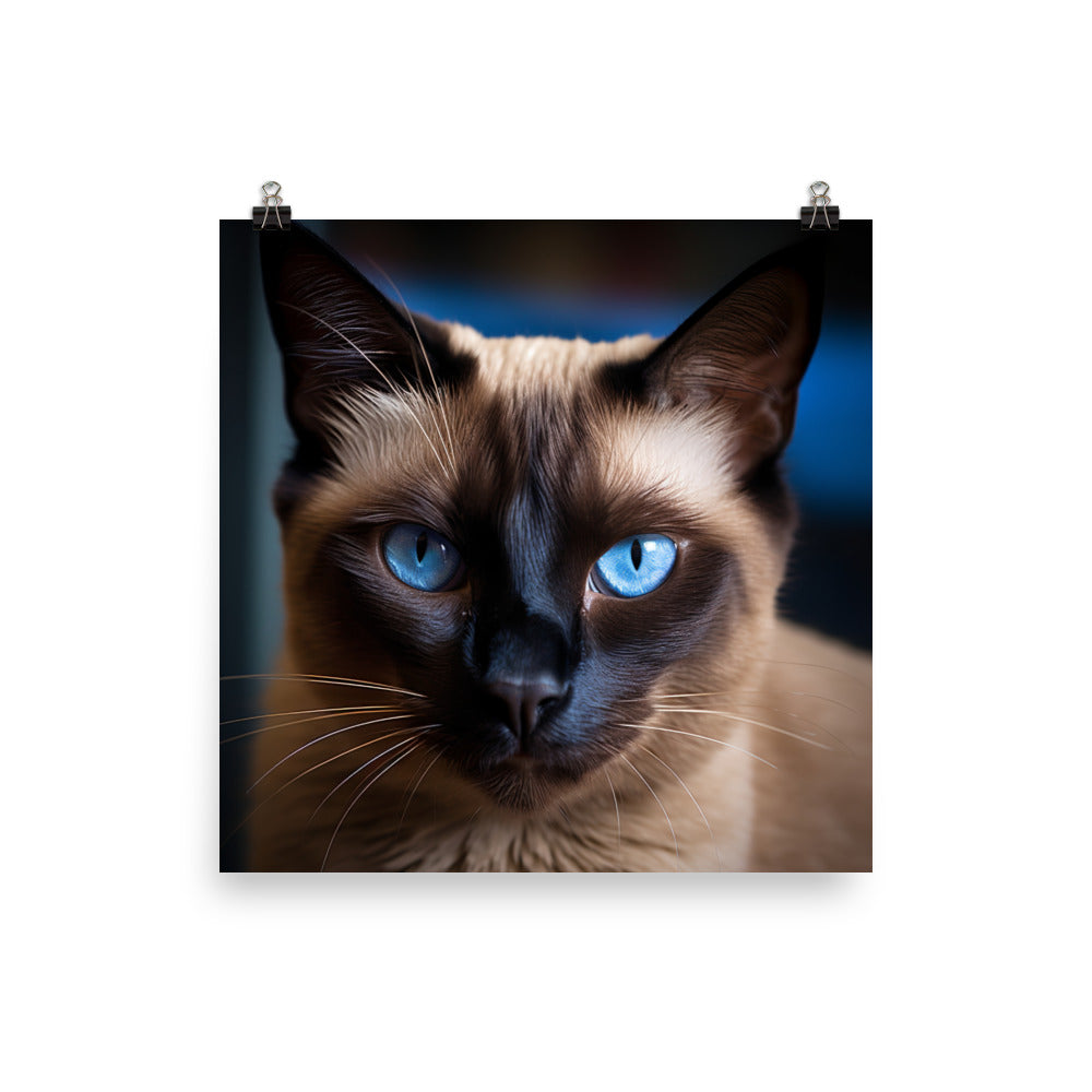 Majestic Siamese Beauty Photo paper poster - PosterfyAI.com