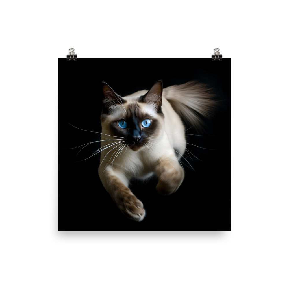 Graceful Siamese in Motion Photo paper poster - PosterfyAI.com