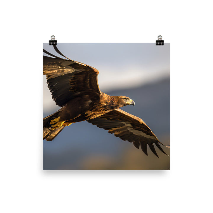 Golden Eagle soaring high in the sky Photo paper poster - PosterfyAI.com