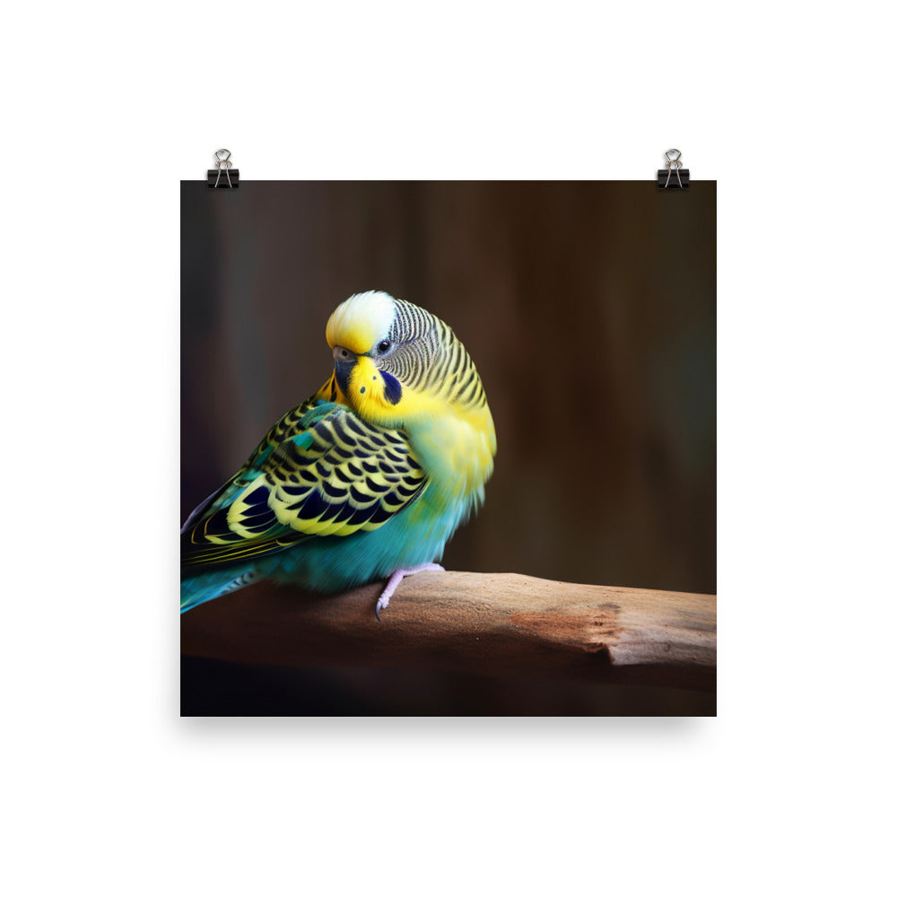 Cheerful Budgie on a Perch Photo paper poster - PosterfyAI.com