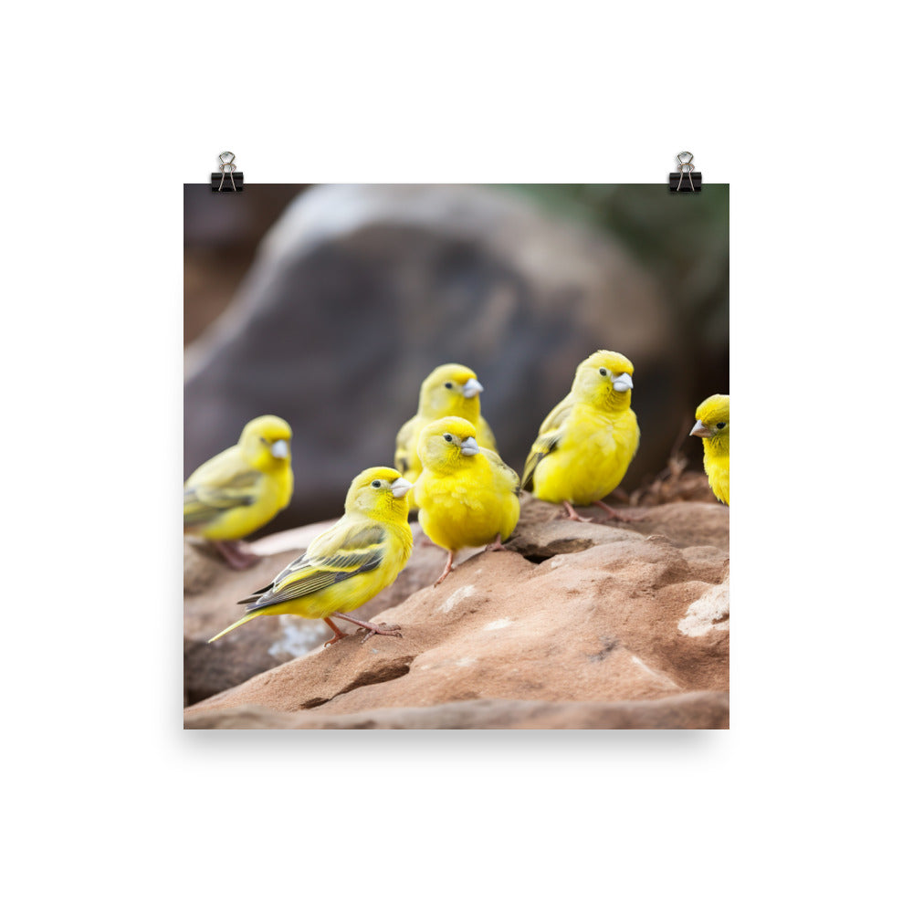 Canaries in a natural habitat Photo paper poster - PosterfyAI.com