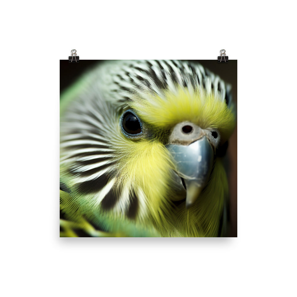 Budgie Close Up Photo paper poster - PosterfyAI.com