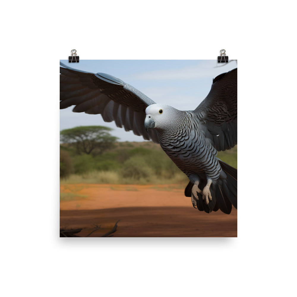 African Grey Parrot in Flight Photo paper poster - PosterfyAI.com