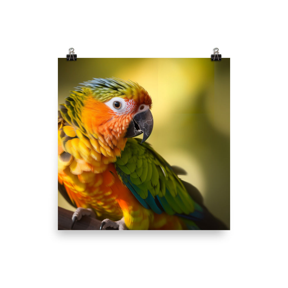 A colorful Conure perched on a branch Photo paper poster - PosterfyAI.com