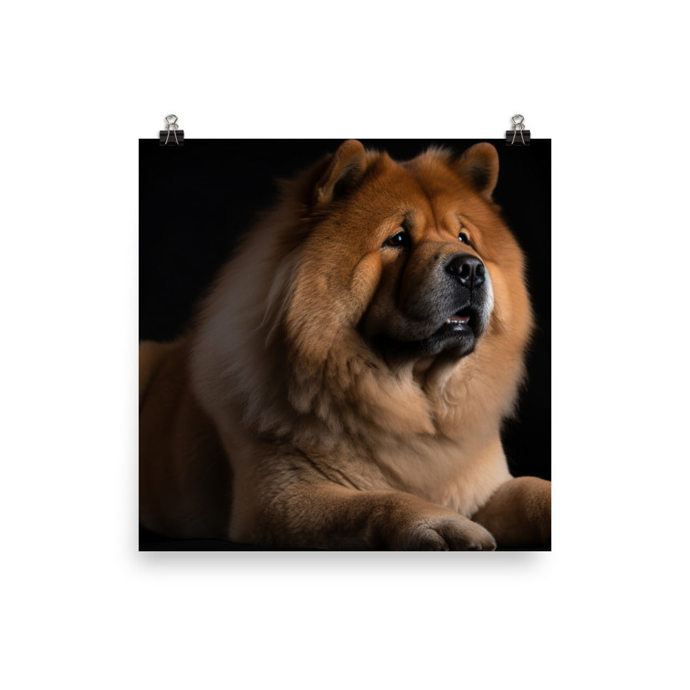 Chow Chow Sitting Proudly Photo paper poster - PosterfyAI.com