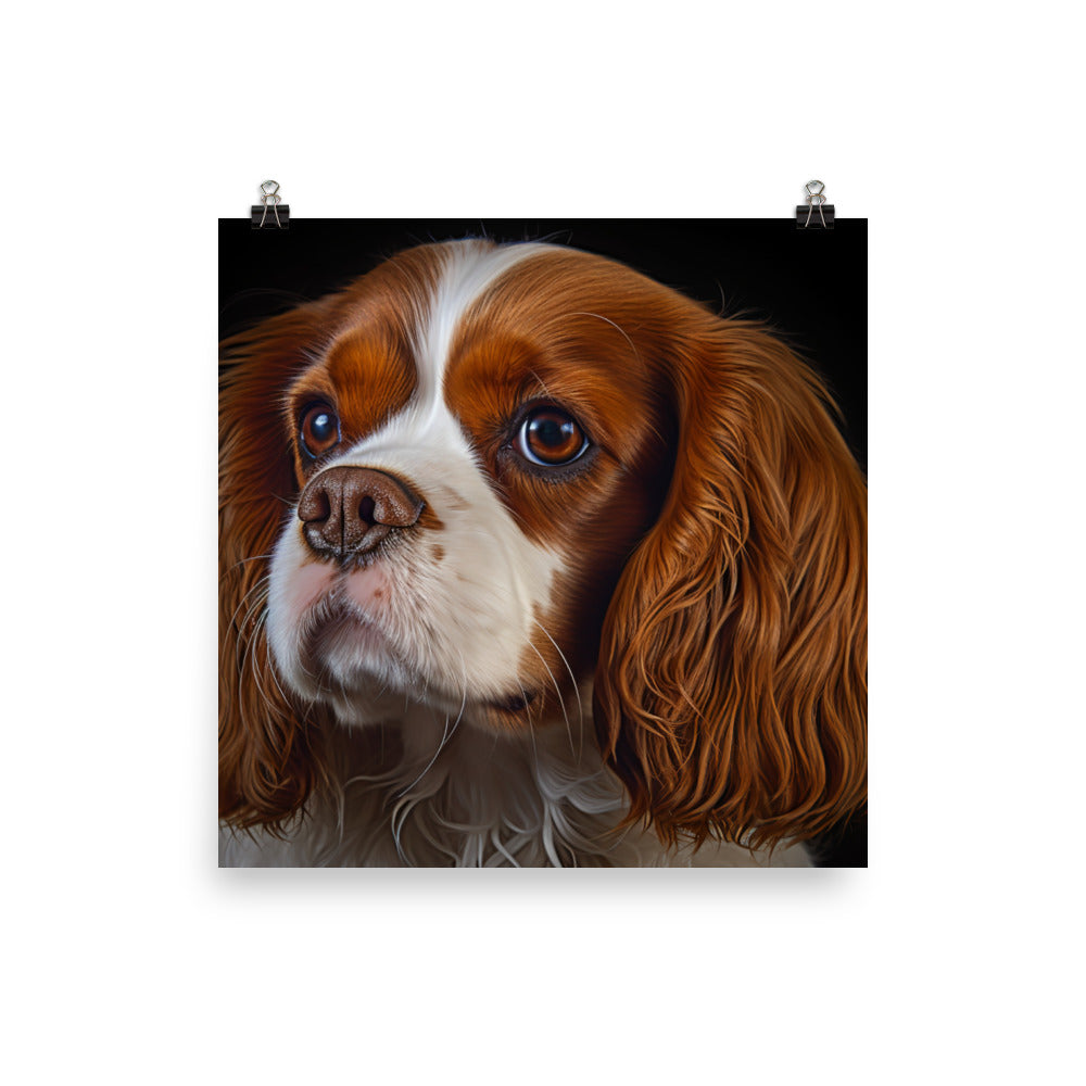 Cavalier King Charles Spaniel Photo paper poster - PosterfyAI.com