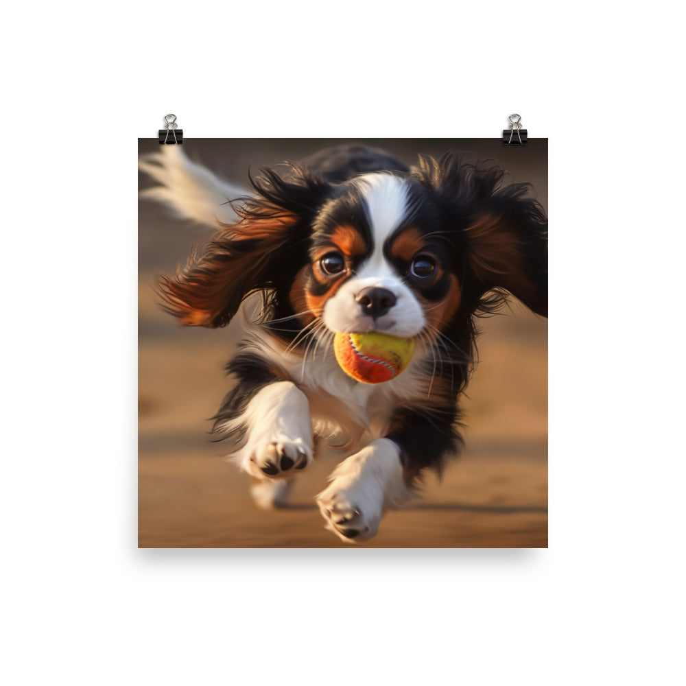 Cavalier King Charles Spaniel Photo paper poster - PosterfyAI.com