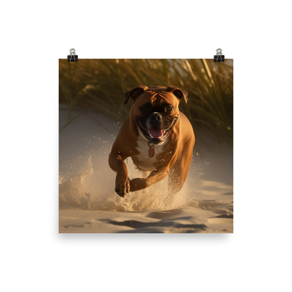 Boxer on the Beach Photo paper poster - PosterfyAI.com