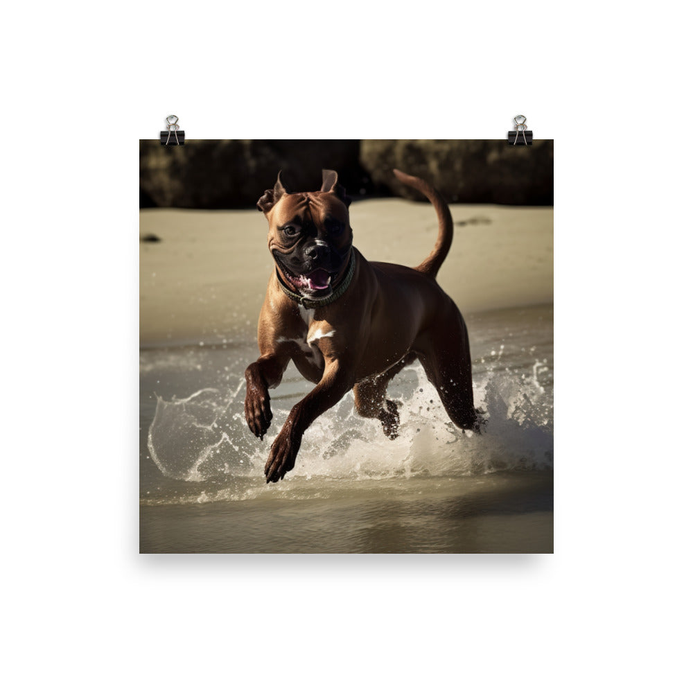 Boxer at the Beach Photo paper poster - PosterfyAI.com