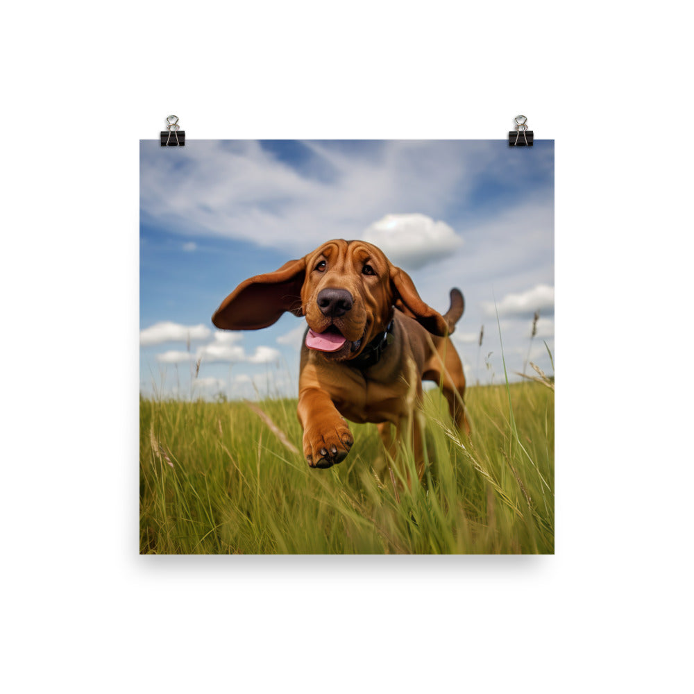 Bloodhounds Playtime Photo paper poster - PosterfyAI.com