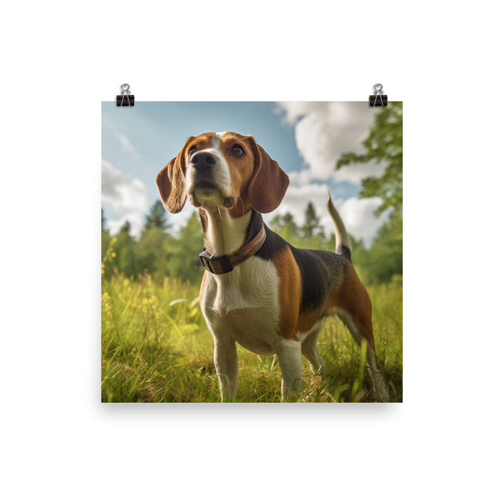 Beagle on the hunt Photo paper poster - PosterfyAI.com