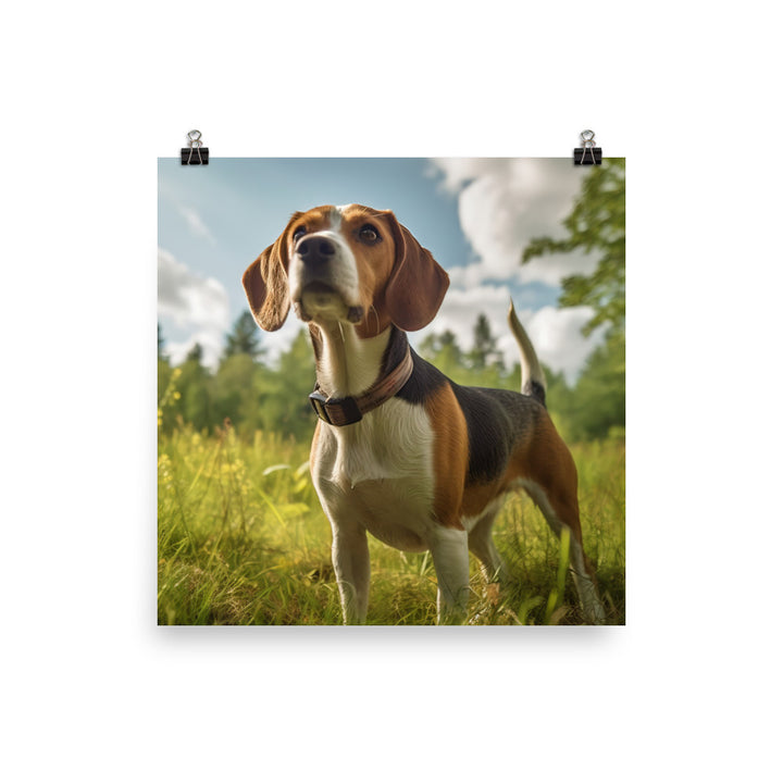 Beagle on the hunt Photo paper poster - PosterfyAI.com
