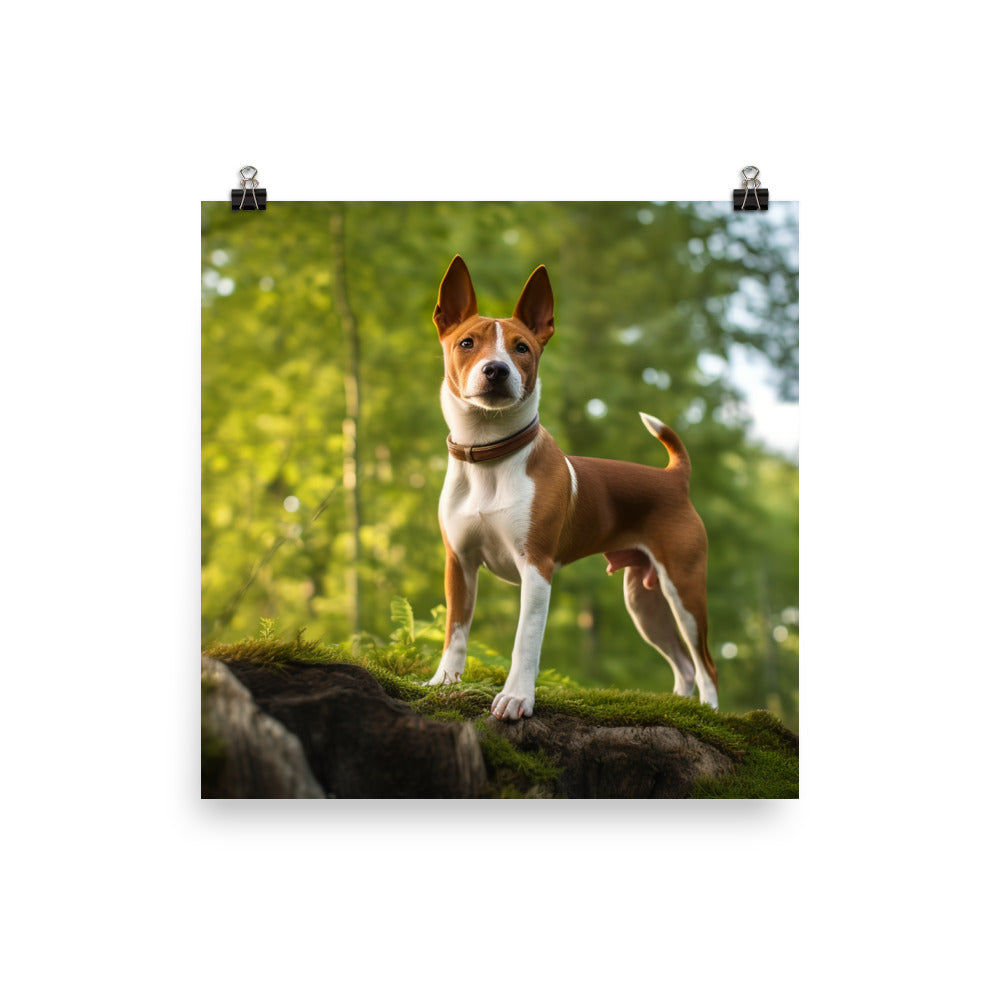 Basenji in Nature Photo paper poster - PosterfyAI.com