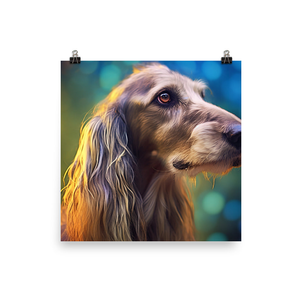 Afghan Hound portrait with bokeh Photo paper poster - PosterfyAI.com