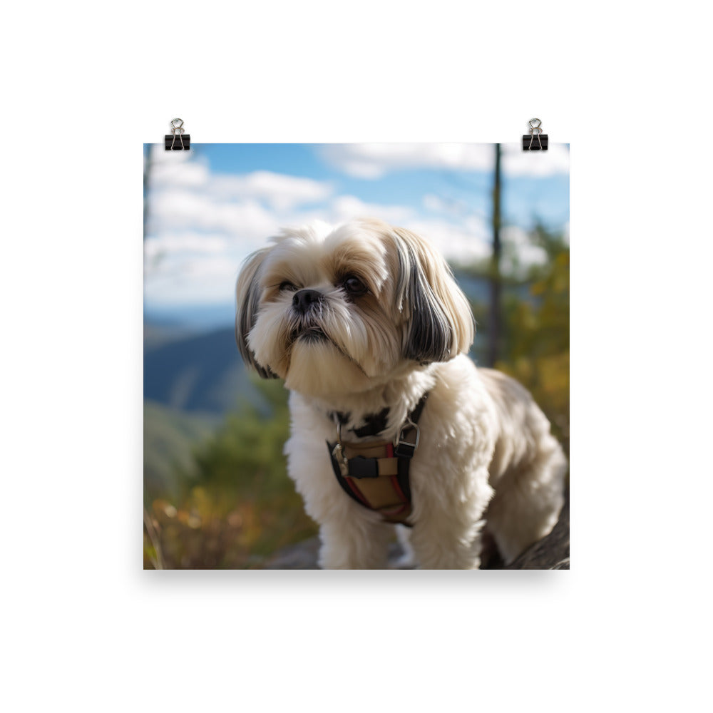 Adventurous Shih Tzu on a Hike Photo paper poster - PosterfyAI.com
