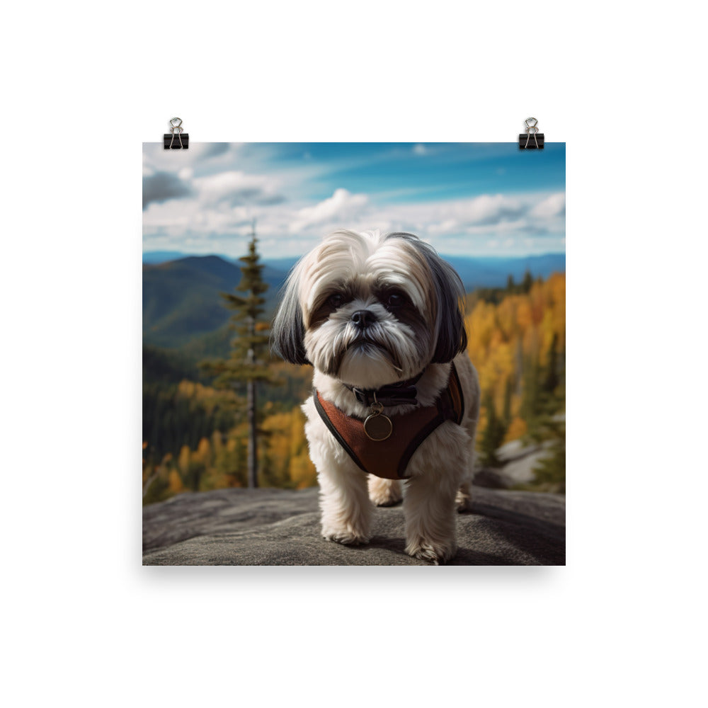 Adventurous Shih Tzu on a Hike Photo paper poster - PosterfyAI.com
