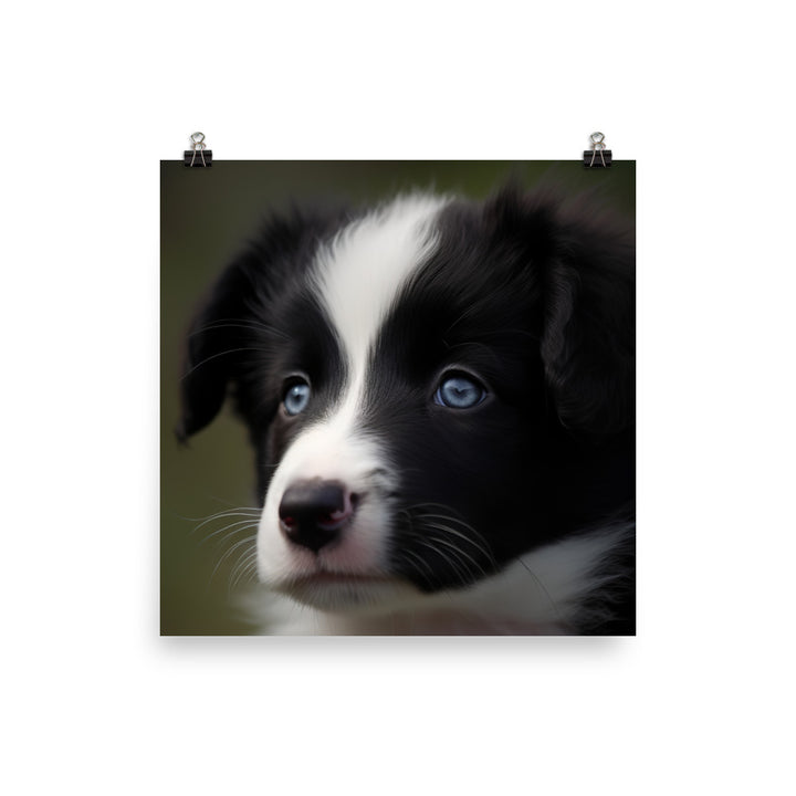 Adorable Border Collie Puppy Photo paper poster - PosterfyAI.com