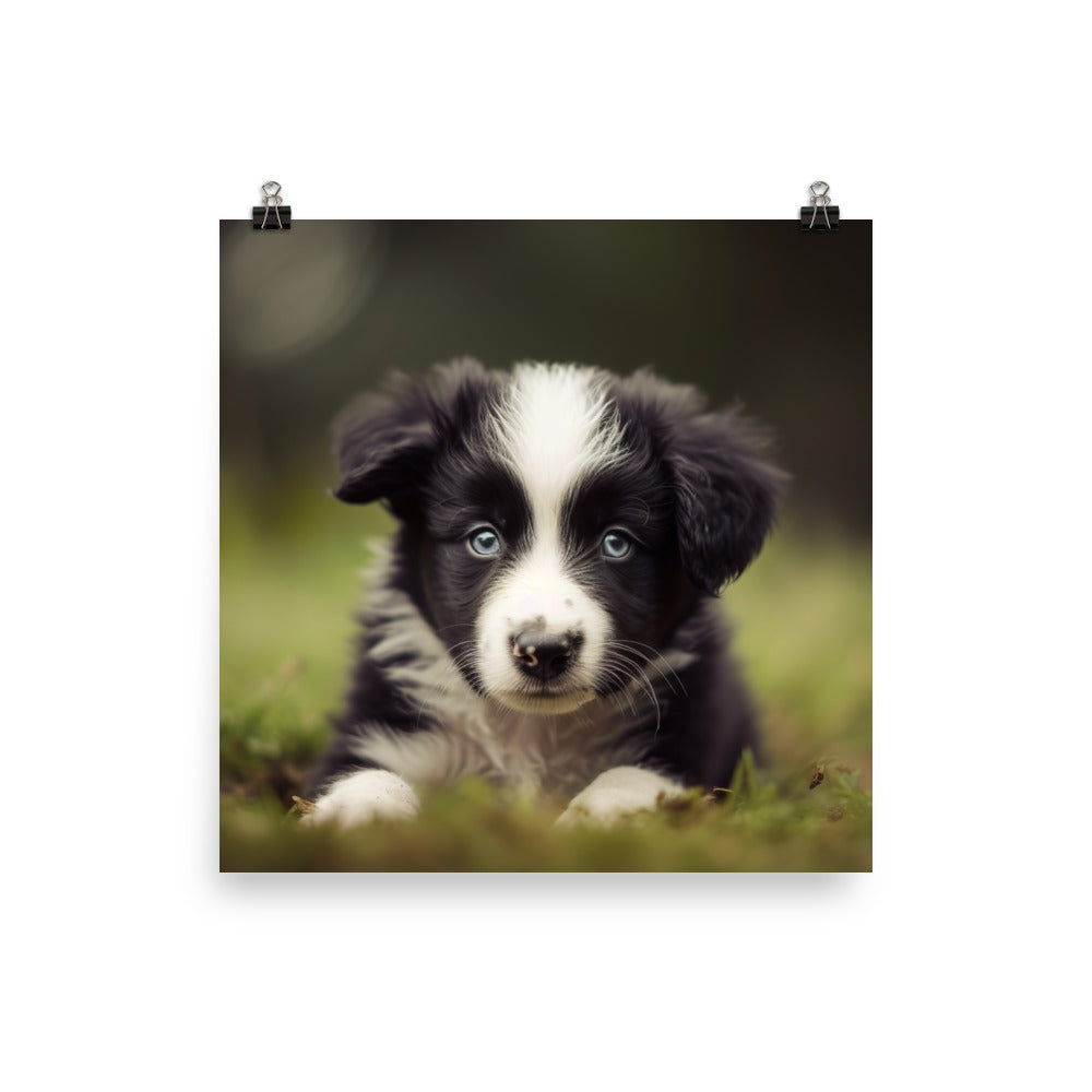 Adorable Border Collie Puppy Photo paper poster - PosterfyAI.com