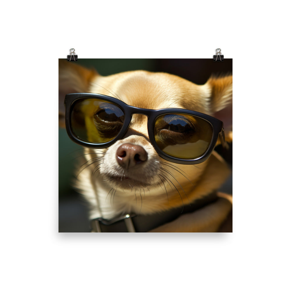 A Chihuahua wearing sunglasses Photo paper poster - PosterfyAI.com