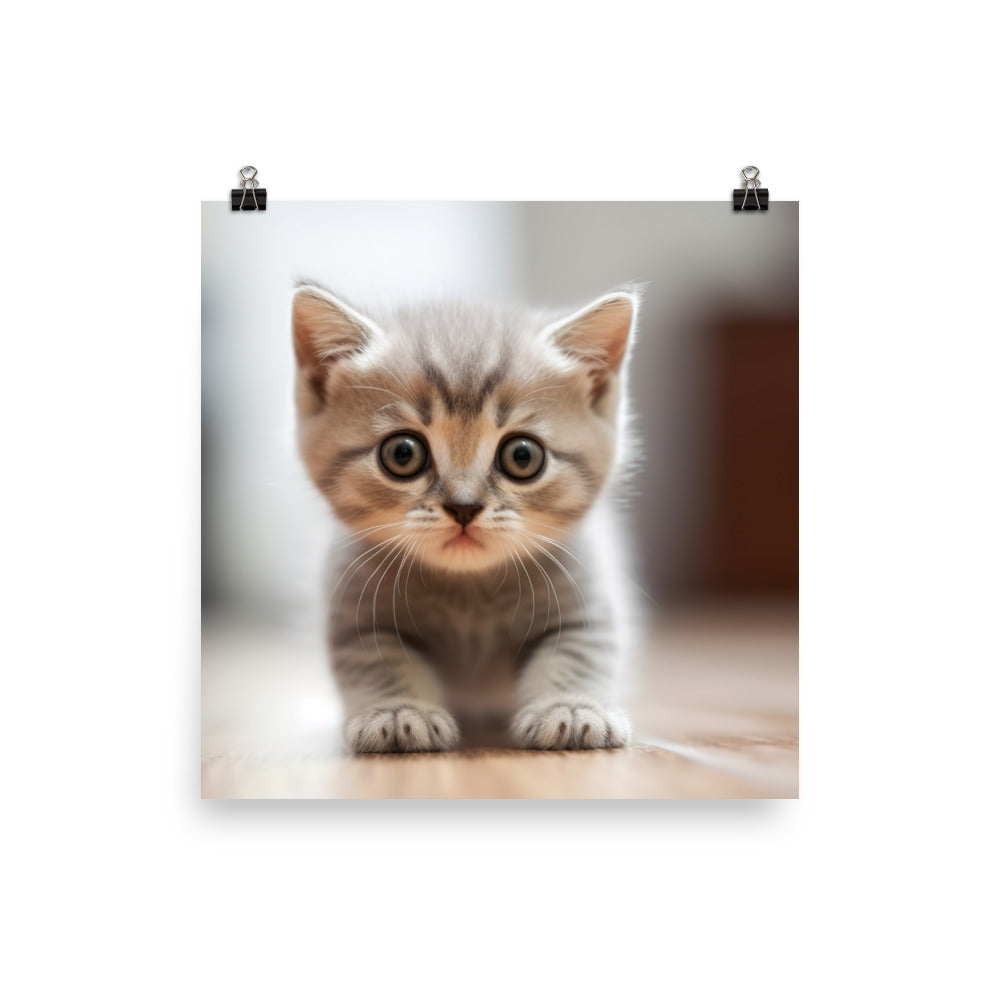 British Shorthair Kitten photo paper poster - Posterfy.AI