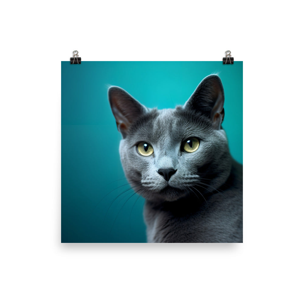 Russian Blue Cat Posing photo paper poster - Posterfy.AI
