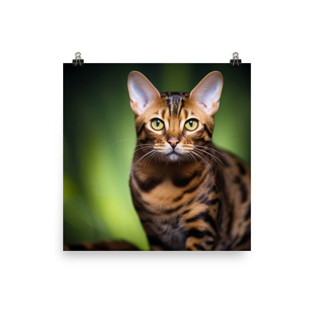 Majestic Bengal photo paper poster - Posterfy.AI