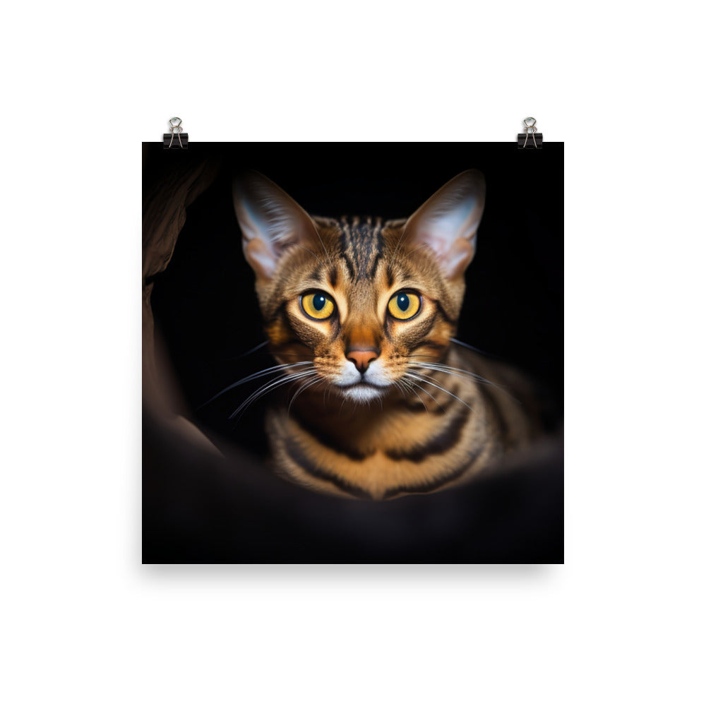 Enigmatic Bengal photo paper poster - Posterfy.AI
