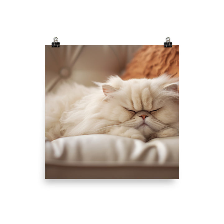 Tranquil Persian Dreaming photo paper poster - Posterfy.AI