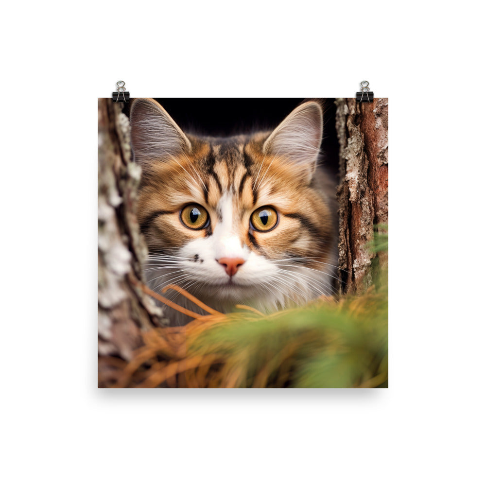 Playful Norwegian Forest Cat photo paper poster - Posterfy.AI