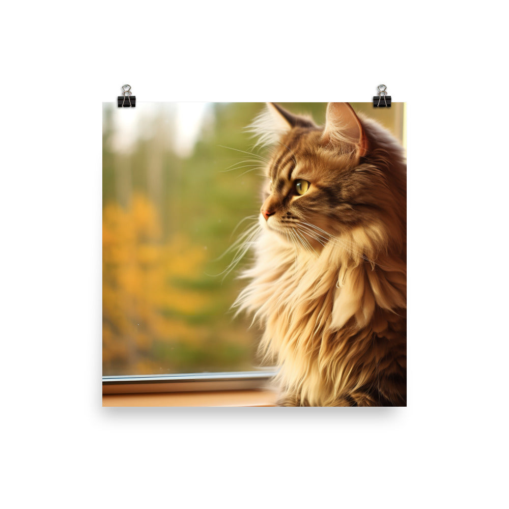 Majestic Norwegian Forest Cat photo paper poster - Posterfy.AI