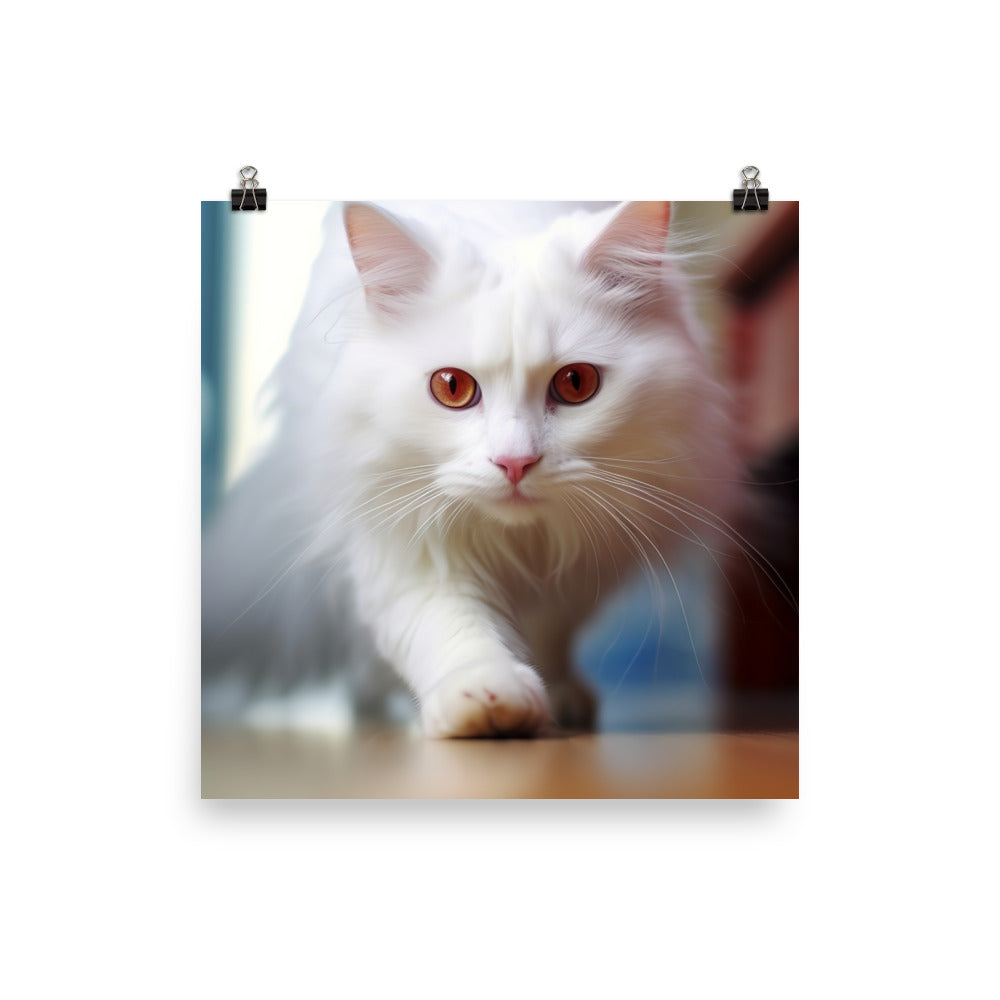 Curious Turkish Angora on the Prowl photo paper poster - Posterfy.AI