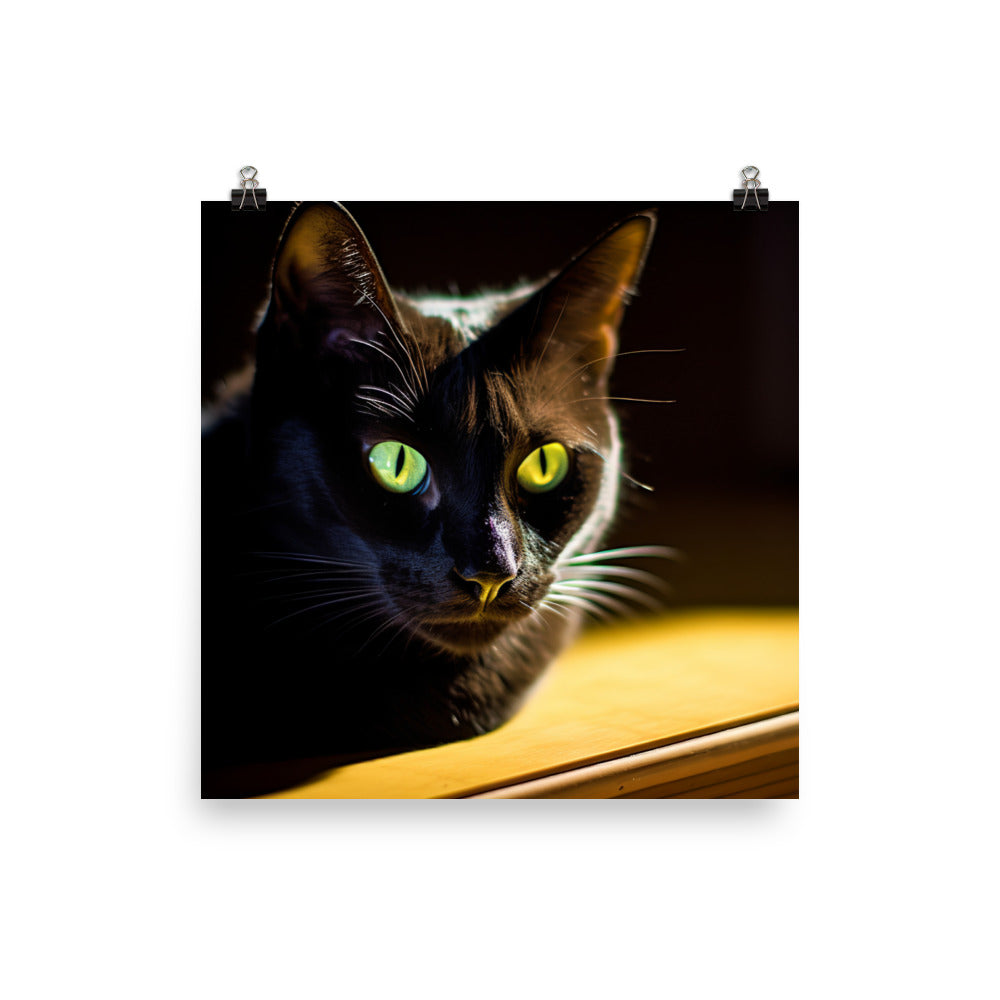Bombay Cat in the Shadows photo paper poster - Posterfy.AI