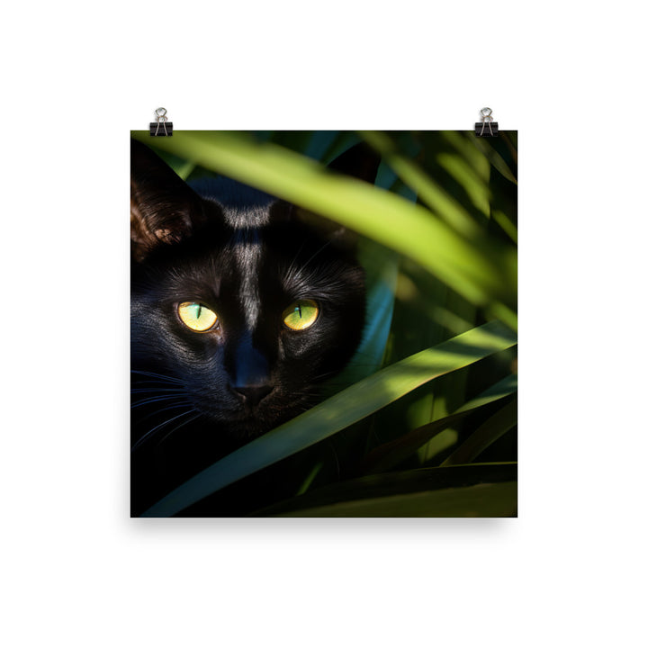 Bombay Cat in the Shadows photo paper poster - Posterfy.AI