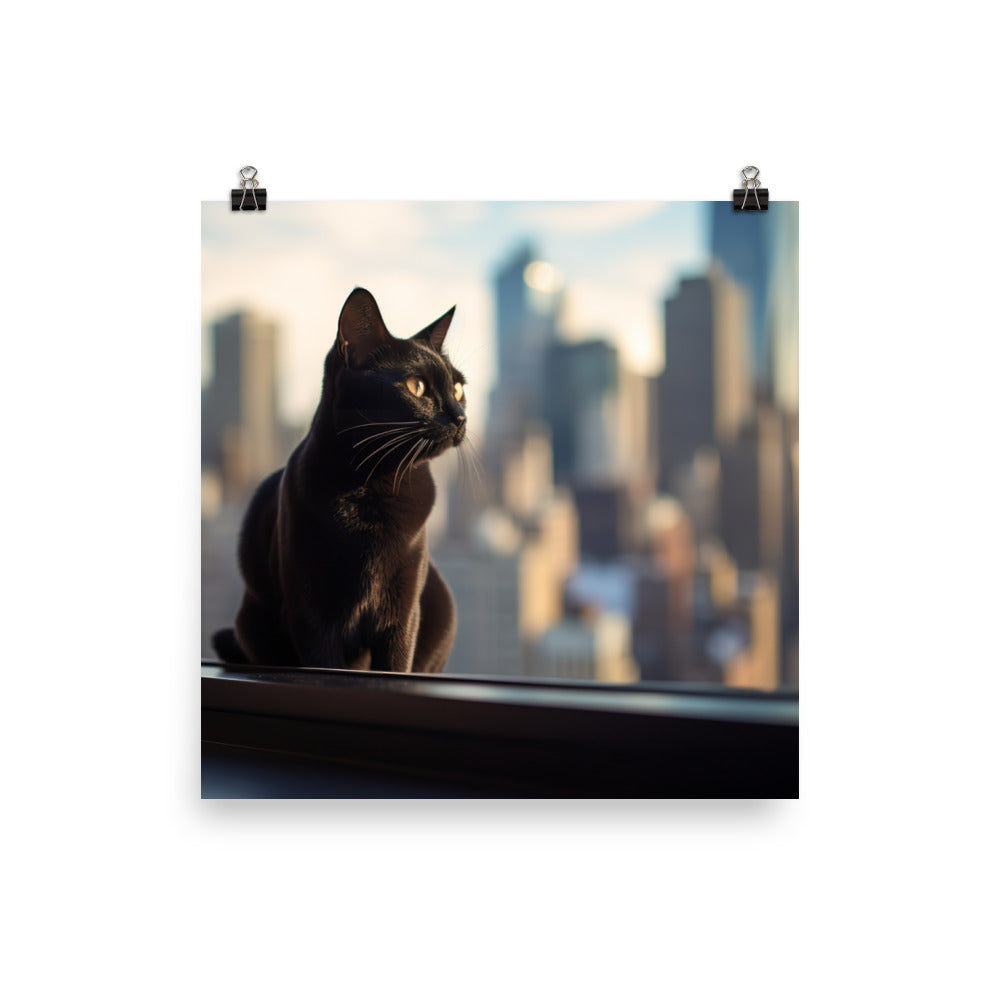 Bombay Cat in its Element photo paper poster - Posterfy.AI