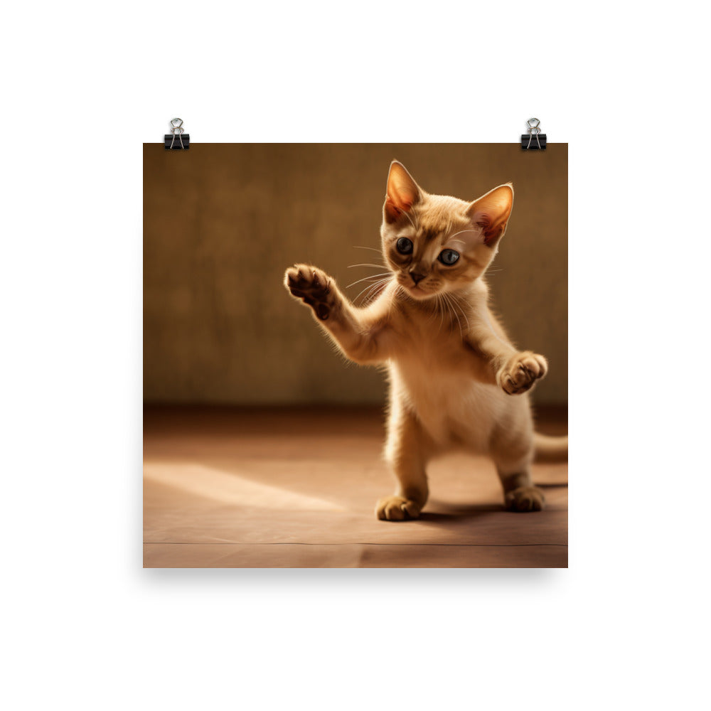 Playful Burmese Kitten photo paper poster - Posterfy.AI