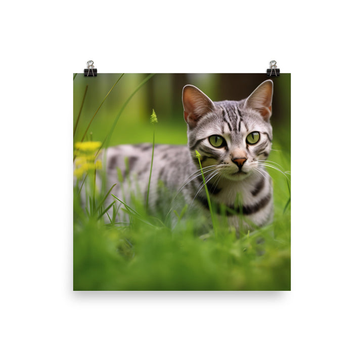 Serene Egyptian Mau in Nature photo paper poster - Posterfy.AI