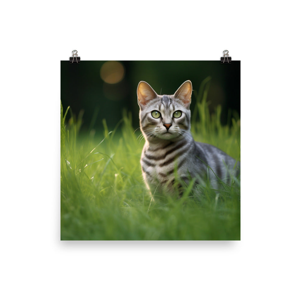 Serene Egyptian Mau in Nature photo paper poster - Posterfy.AI
