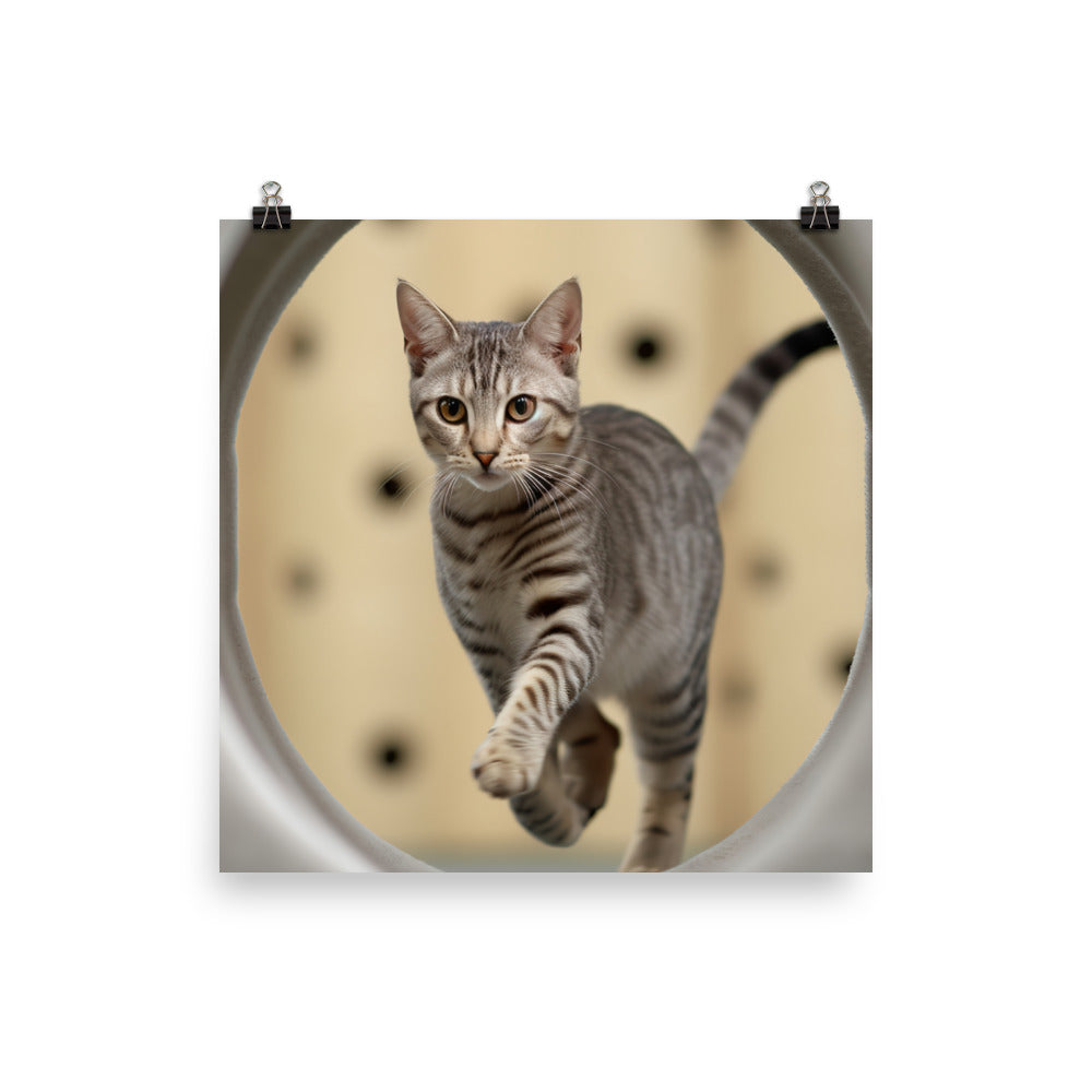 Egyptian Mau at Playtime photo paper poster - Posterfy.AI