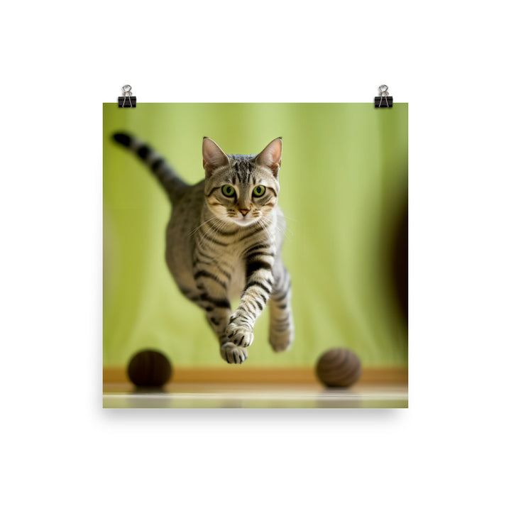 Egyptian Mau at Playtime photo paper poster - Posterfy.AI