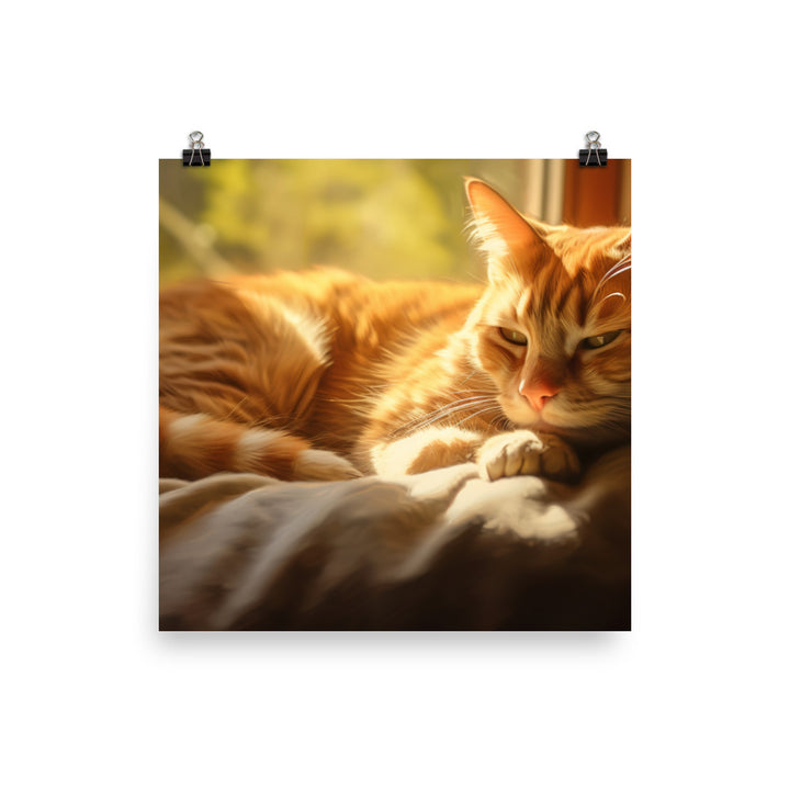 Relaxed Manx Cat photo paper poster - Posterfy.AI