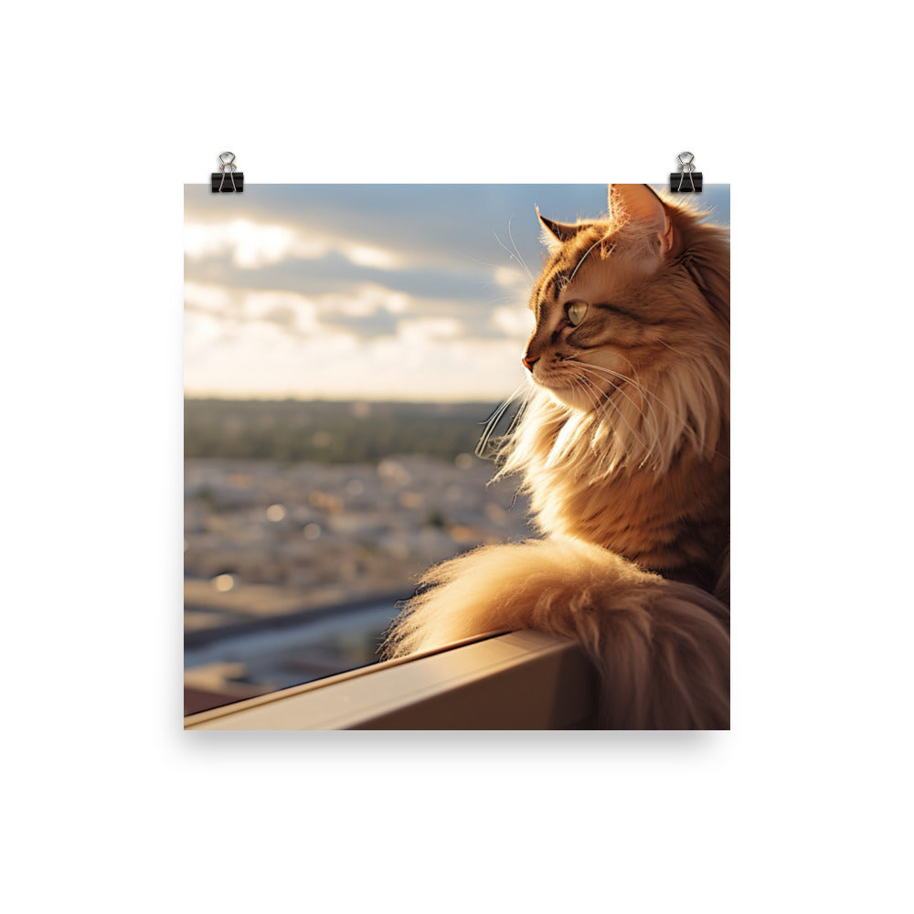 Regal Somali Cat photo paper poster - Posterfy.AI
