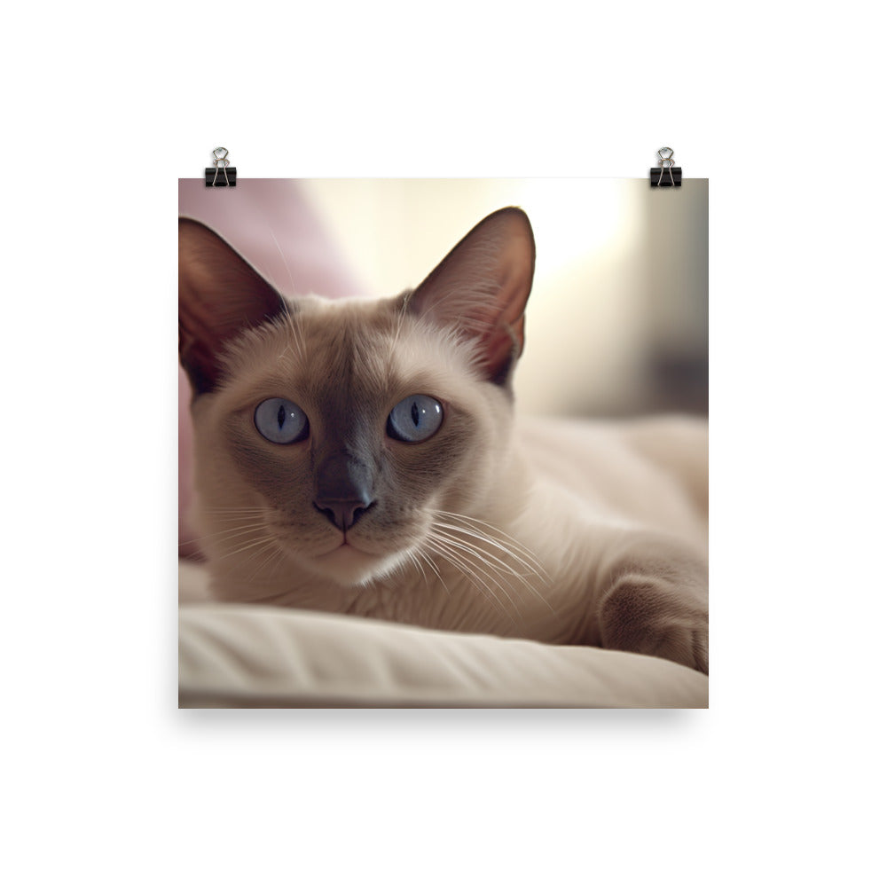 Relaxing with a Tonkinese photo paper poster - Posterfy.AI