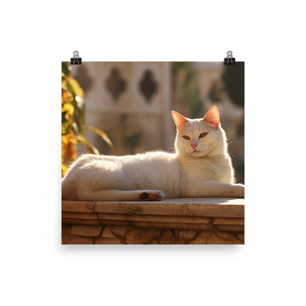 Relaxed Turkish Van photo paper poster - Posterfy.AI