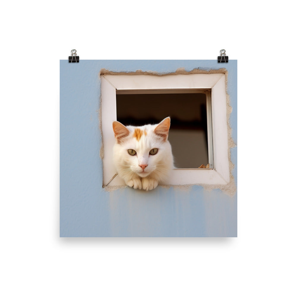 Curious Turkish Van photo paper poster - Posterfy.AI