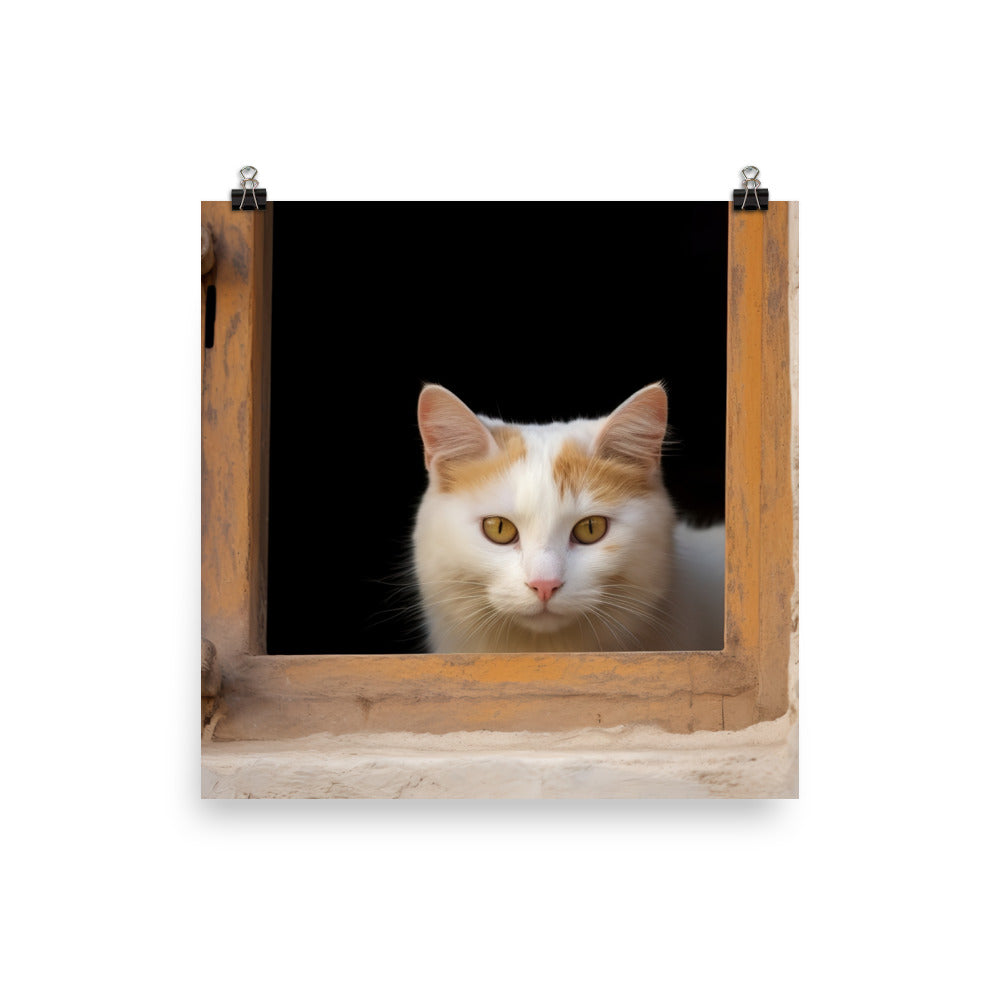 Curious Turkish Van photo paper poster - Posterfy.AI